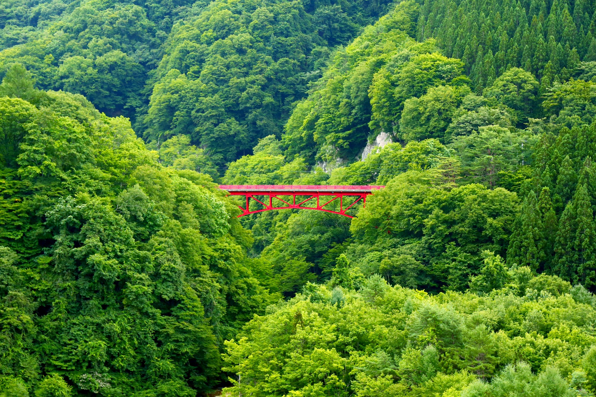 深緑の高井橋