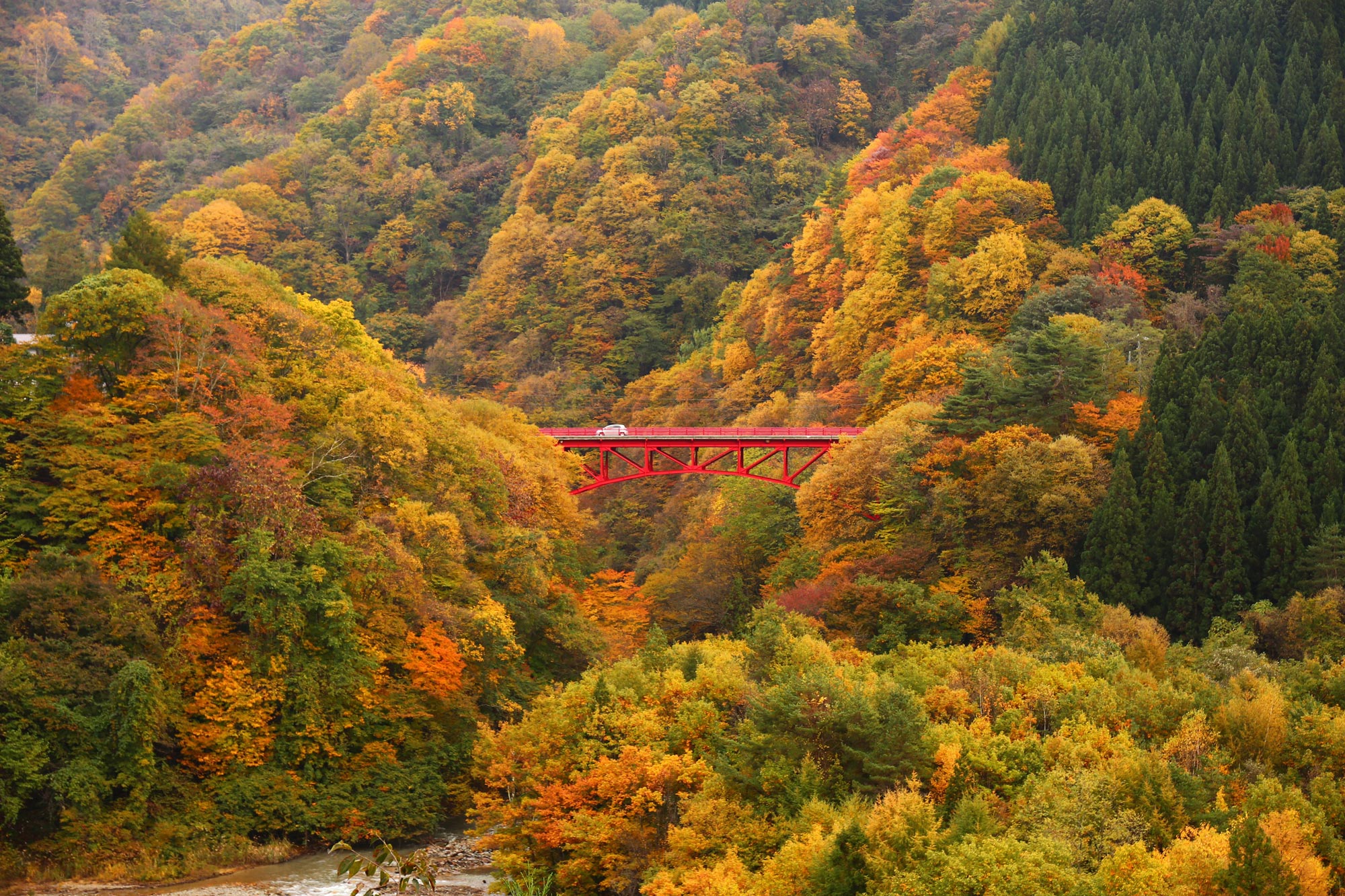 紅葉の高井橋